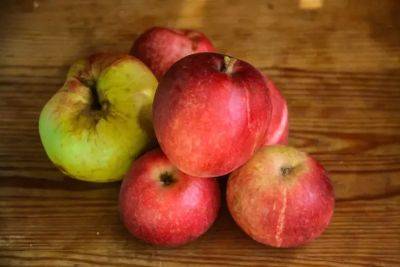 Марин Михалап - Почему опытные хозяйки не выбрасывают яблочную кожуру: 3 варианта использования - belnovosti.by