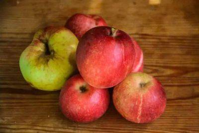 Марин Михалап - Почему опытные хозяйки не выбрасывают яблочную кожуру: 3 варианта использования - lifehelper.one