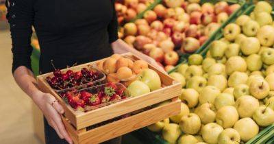 Рекордні ціни на черешню: скільки коштують ягоди та фрукти в Україні - womo.ua