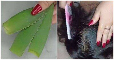 Индийский секрет длинных и густых волос. Маска от выпадения волос - lifehelper.one