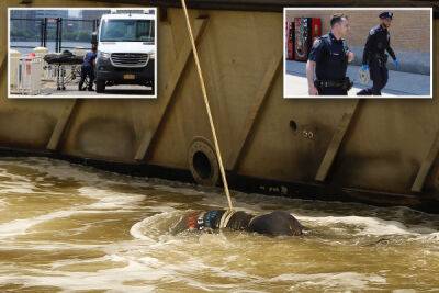 Сумку с телом мужчины вытащили полицейские из реки Гудзон в Нью-Йорке - porosenka.net - Нью-Йорк - Нью-Йорк