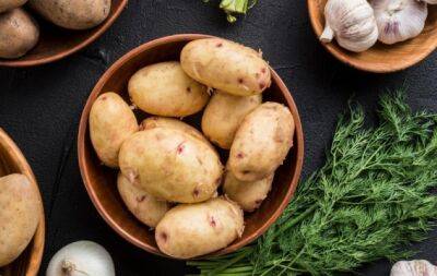 Як правильно вибрати молоду картоплю: надійні поради та правила зберігання - hochu.ua