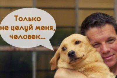 Что может произойти, если целовать домашних животных. - lublusebya.ru