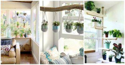 Несколько практичных и красивых способов размещения полок для растений в небольших квартирах - lifehelper.one