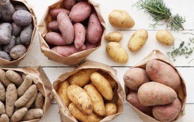Яку картоплю слід обирати на різні страви: яка годиться для смаження, а яка - для пюре - hochu.ua - Україна