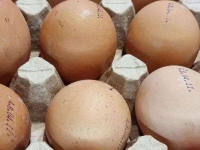 Елен Гутыро - Как правильно положить яйца в холодильник, чтобы они хранились значительно дольше: простой трюк - lifehelper.one