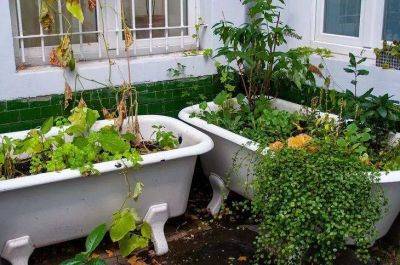 Не спешите отдавать старую ванну на металлолом: вот как она пригодится в саду - lifehelper.one