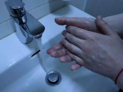 Елен Гутыро - Для чего умные хозяйки намыливают руки не только после, но и до уборки в квартире: интересный лайфхак - belnovosti.by