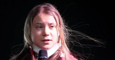 Грета Тунберг - Ґрета Тунберґ підтримала Україну на протестах під ООН: деталі - womo.ua - Україна - Німеччина