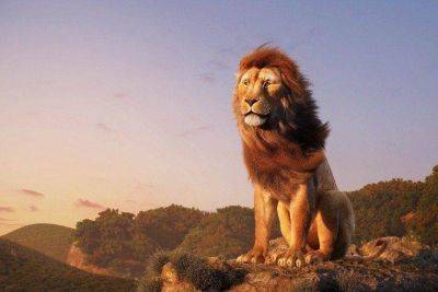 Когда выйдет фильм Муфаса: Король Лев (Mufasa: The Lion King) в 2024 году - lifehelper.one - Сша