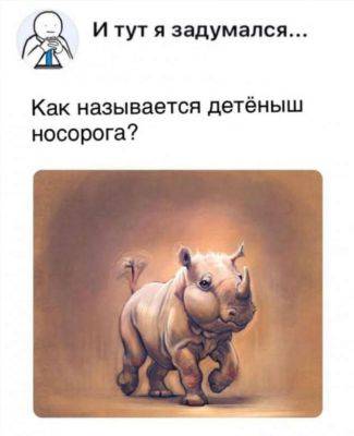 Картинки из серии «И тут я задумался»: ответьте правильно на все вопросы - chert-poberi.ru