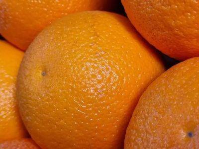 Апельсиновые корки не выбрасывайте: зачем их хозяйки заливают уксусом - belnovosti.by