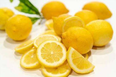 Снижает холестерин и сжигает лишний жир: этот способ выжмет из лимона всю пользу - chert-poberi.ru - Турция