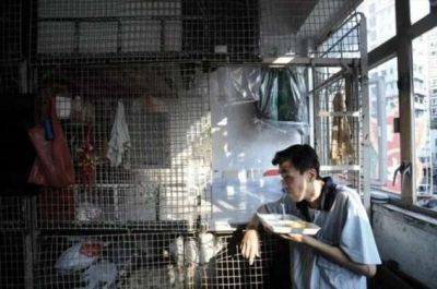 Мира Городов - Квартиры-клетки в Гонконге и как люди живут в стесненных условиях - chert-poberi.ru - Гонконг - Гонконг