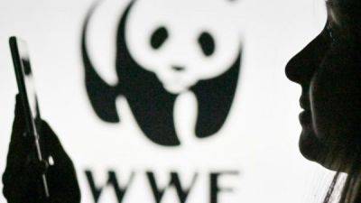 WWF вслед за Greenpeace объявили нежелательной в России организацией - fokus-vnimaniya.com - Россия - Украина - Англия