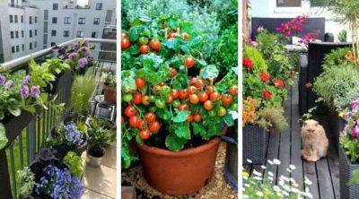 Мини дача на балконе: 30 идей для красоты и удовольствия в городских «джунглях» - lublusebya.ru