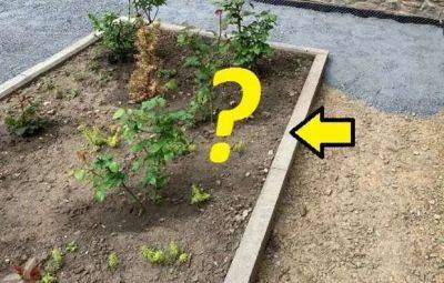 Как без бетонных бордюров отделить грядки и цветники от садовых дорожек? - lublusebya.ru