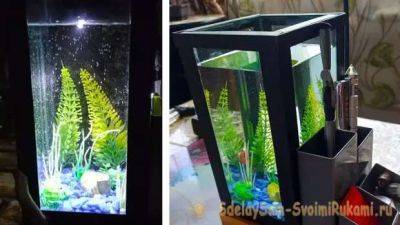 Как сделать настольный аквариум-органайзер с подсветкой - milayaya.ru