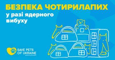 Безпека чотирилапих у разі ядерного вибуху: поради ветеринара, кінолога та зоопсихолога - womo.ua - Украина