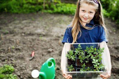 Как приобщить ребёнка к садово-огородным работам? Волшебные помидоры - lifehelper.one - Украина