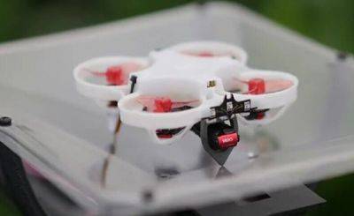 В Нидерландах создали дрон, который будет истреблять насекомых-вредителей - porosenka.net - Голландия