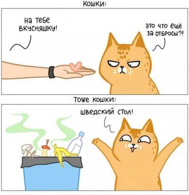 15 забавных комиксов от художницы, которая живёт в доме с четырьмя котами - porosenka.net