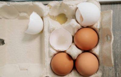 Цікавий трюк досвідчених кухарів: дрібка соди врятує варені яйця - hochu.ua