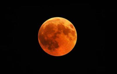 Знаходяться під покровою Місяця: астрологи розповіли про народжених у понеділок - hochu.ua