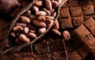 Як заварити какао, щоб зберегти користь напою: поради експертів - hochu.ua