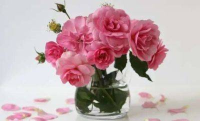 Как сохранить розы в вазе: что добавить в воду, чтобы цветы простояли дольше - lublusebya.ru