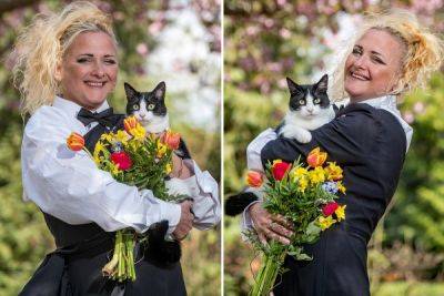 Жительница Лондона вышла замуж за кошку - porosenka.net - Индия - Лондон