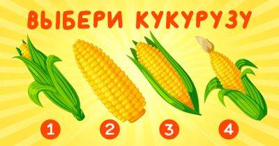 Взгляни на эту спелую кукурузку, выбери одну и узнай, что готовит для тебя последний месяц лета - takprosto.cc