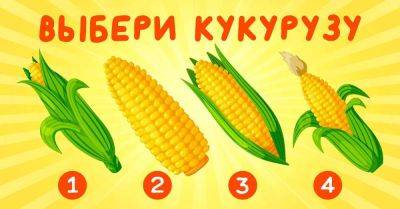 Взгляни на эту спелую кукурузку, выбери одну и узнай, что готовит для тебя последний месяц лета - lifehelper.one