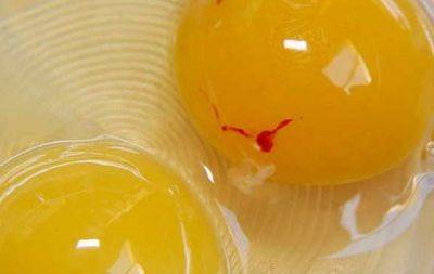 Відповідь може здивувати: чи можна їсти яйця з червоною плямою на жовтку - hochu.ua