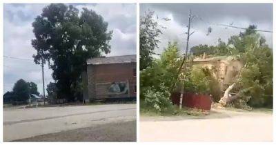 «А я вам говорил - так оно и будет»: рабочие хотели спилить дерево, а в итоге снесли крышу дома… - porosenka.net - Красноярский край