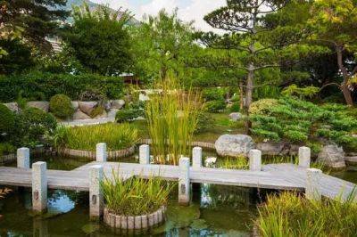 Место для созерцания: как создать японский сад на своем дачном участке - lublusebya.ru