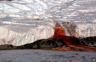 Ученые разобрались с потоками крови в Антарктиде - chert-poberi.ru - Антарктида