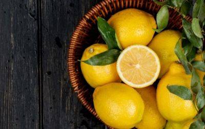 Не викидайте шкірку лимона: три випадки, коли вона знадобиться вам у побуті - hochu.ua