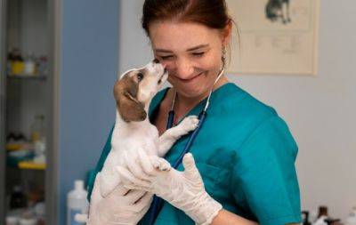 День працівників ветеринарної медицини: прикольні картинки та текстові привітання до свята - hochu.ua