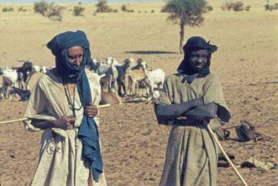 20+ фактов о туарегах, у которых по закону после развода мужчина может оставить себе лишь верблюда - chert-poberi.ru - Алжир - Мали