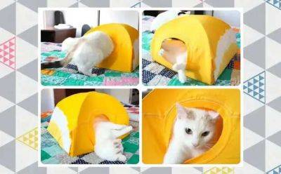Как сделать домик из футболки для кота или кошки: простой мастер-класс - milayaya.ru