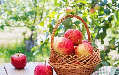 Яблучний Спас: як душевно привітати зі святом у віршах та своїми словами - hochu.ua - Мали