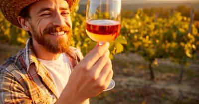 Ультразвук ускорил созревание розового вина в разы — вот как это работает - chert-poberi.ru - Испания