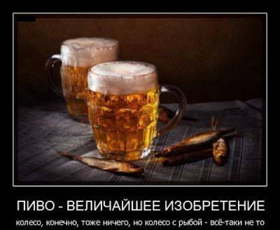 Нефильтрованные анекдоты про пиво! - porosenka.net
