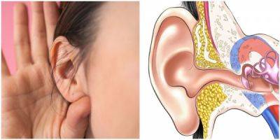 10 фактов об ушной сере, которые удивляют - porosenka.net - штат Техас - Африканская