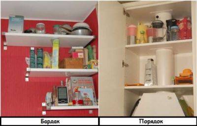 8 коварных вредителей, которые лишают квартиру уюта, несмотря на все старания хозяйки - milayaya.ru