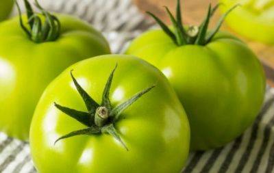 Хитрий трюк: куди покласти зелені помідори, щоб вони моментально почервоніли - hochu.ua