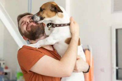 Воспитываем послушную собаку — простой гайд для новичков - lublusebya.ru