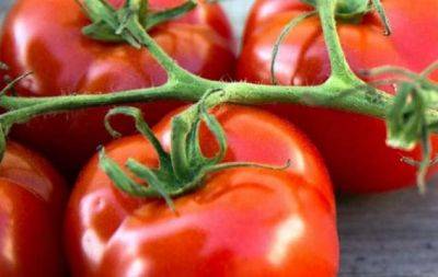 Дайте це помідорам в серпні - не буде куди складати врожай - hochu.ua