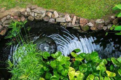 Какой построить пруд: 10 простых идей для садового водоема - milayaya.ru